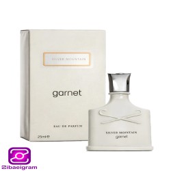 عطر ادکلن مردانه گارنت مدل Silver Mountain (25 میل)